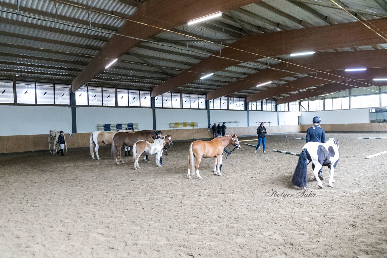 Bild 8 - Pony Akademie Turnier